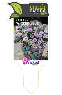 wicked-blue-label.gif
