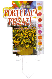 Portulaca-Pizazz--label.gif