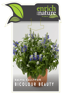 bicolour-beauty-label.gif