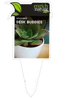 deskbudlabel.jpg